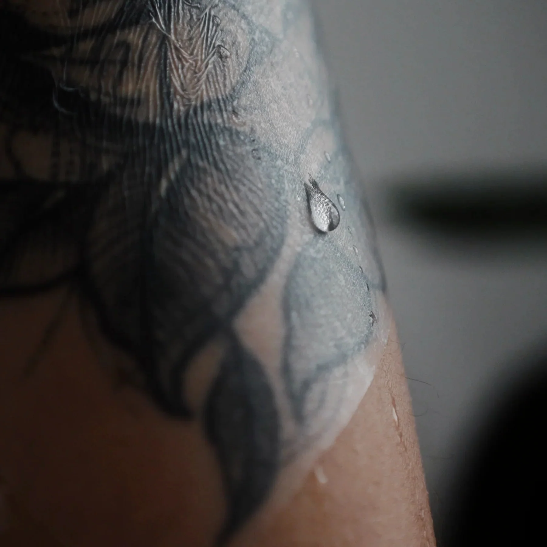 TattooMed Tattoo Protection Film 2.0 (15cm x 5m) - Image 3